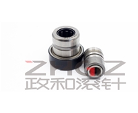 NX Radial needle roller bearing